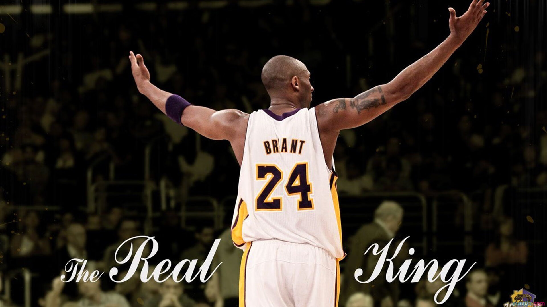 篮球明星访谈节目热播，篮球明星采访